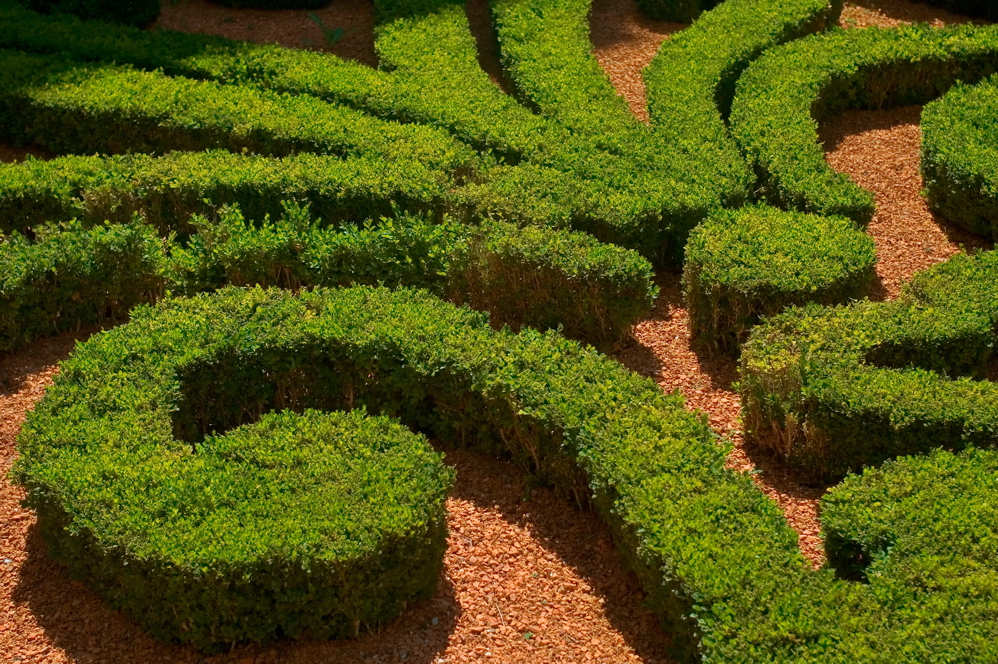 Lune de Miel - Carnavalet Garden - 4